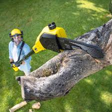 Best Lawn Pest Prevention  in Osakis, MN